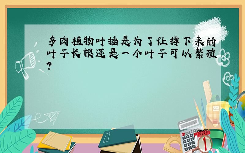 多肉植物叶插是为了让掉下来的叶子长根还是一个叶子可以繁殖?