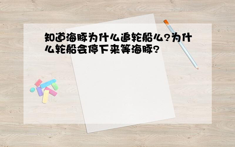 知道海豚为什么追轮船么?为什么轮船会停下来等海豚?