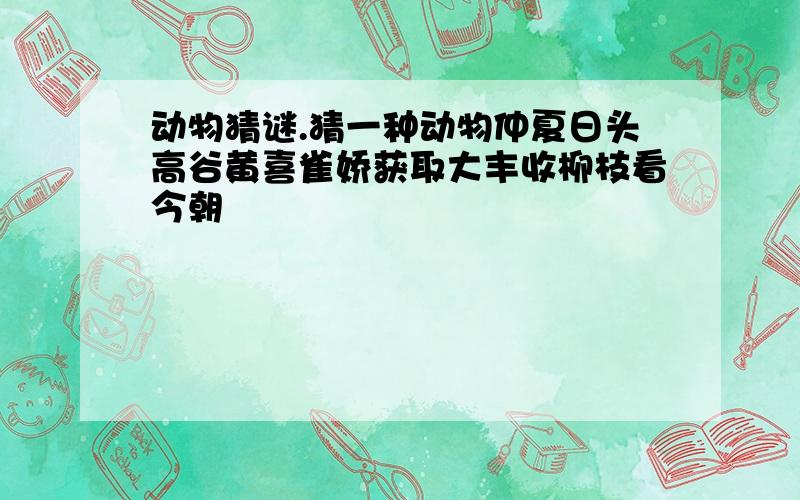 动物猜谜.猜一种动物仲夏日头高谷黄喜雀娇获取大丰收柳枝看今朝