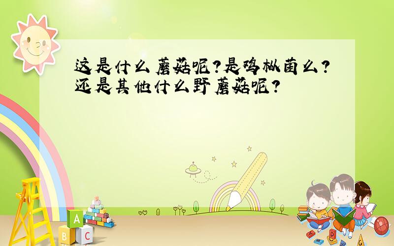 这是什么蘑菇呢?是鸡枞菌么?还是其他什么野蘑菇呢?