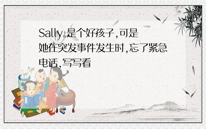 Sally 是个好孩子,可是她在突发事件发生时,忘了紧急电话,写写看