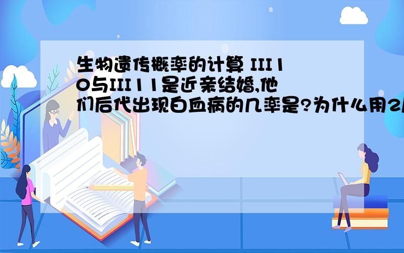 生物遗传概率的计算 III10与III11是近亲结婚,他们后代出现白血病的几率是?为什么用2/3*1/4来算?