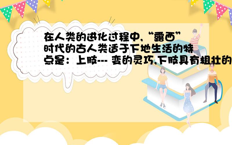 在人类的进化过程中,“露西”时代的古人类适于下地生活的特点是：上肢--- 变的灵巧,下肢具有粗壮的---