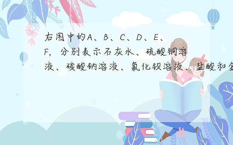 右图中的A、B、C、D、E、F，分别表示石灰水、硫酸铜溶液、碳酸钠溶液、氯化钡溶液、盐酸和金属铁，它们之间的连线表明相邻