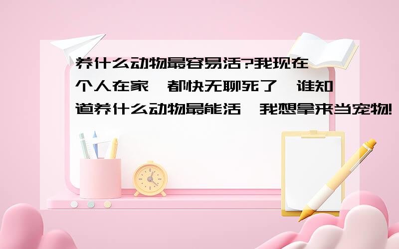 养什么动物最容易活?我现在一个人在家,都快无聊死了,谁知道养什么动物最能活,我想拿来当宠物!