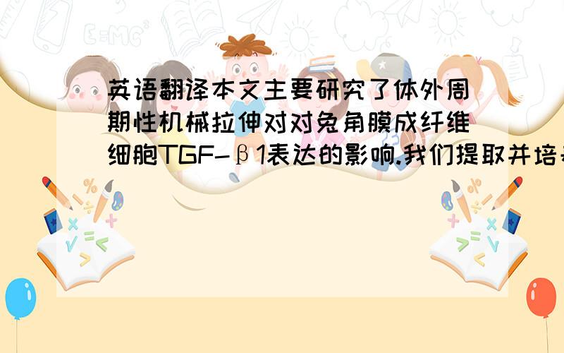 英语翻译本文主要研究了体外周期性机械拉伸对对兔角膜成纤维细胞TGF-β1表达的影响.我们提取并培养了兔角膜成纤维细胞,并