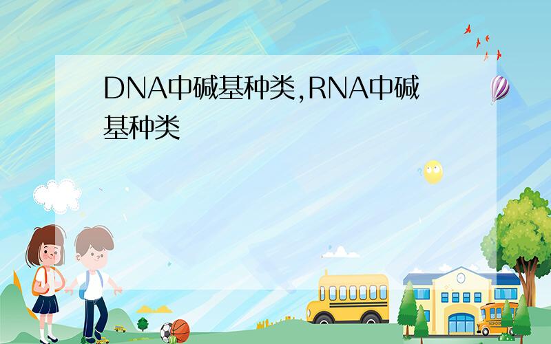 DNA中碱基种类,RNA中碱基种类