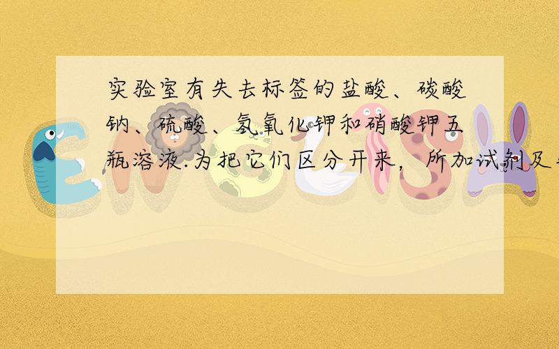 实验室有失去标签的盐酸、碳酸钠、硫酸、氢氧化钾和硝酸钾五瓶溶液.为把它们区分开来，所加试剂及先后顺序合理的一组是（　　）