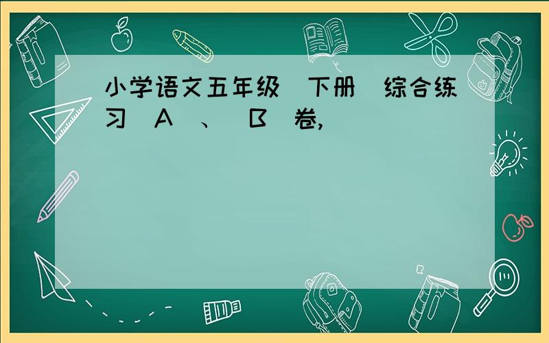 小学语文五年级（下册）综合练习（A）、（B）卷,