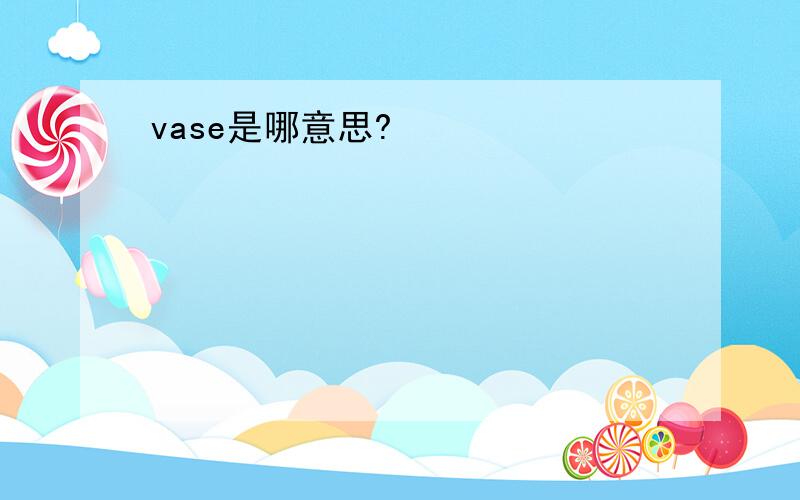 vase是哪意思?