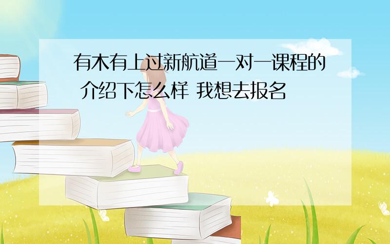 有木有上过新航道一对一课程的 介绍下怎么样 我想去报名