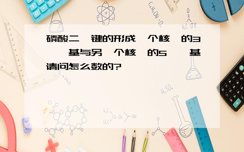 磷酸二酯键的形成一个核苷的3ˊ羟基与另一个核苷的5ˊ羟基请问怎么数的?