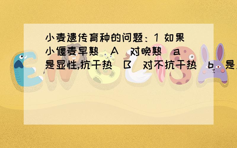 小麦遗传育种的问题：1 如果小偃麦早熟（A）对晚熟（a）是显性,抗干热（B）对不抗干热(b)是显性（两对）基因自由组合,