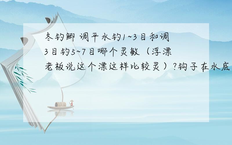 冬钓鲫 调平水钓1~3目和调3目钓5~7目哪个灵敏（浮漂老板说这个漂这样比较灵）?钩子在水底什么状态?