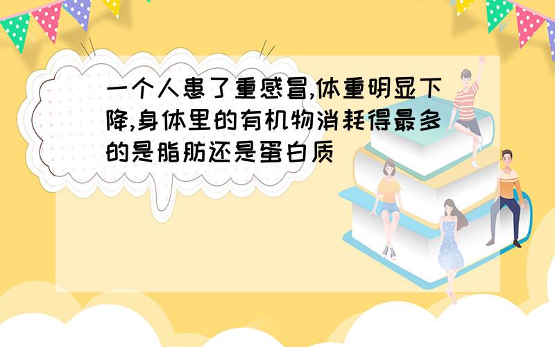 一个人患了重感冒,体重明显下降,身体里的有机物消耗得最多的是脂肪还是蛋白质