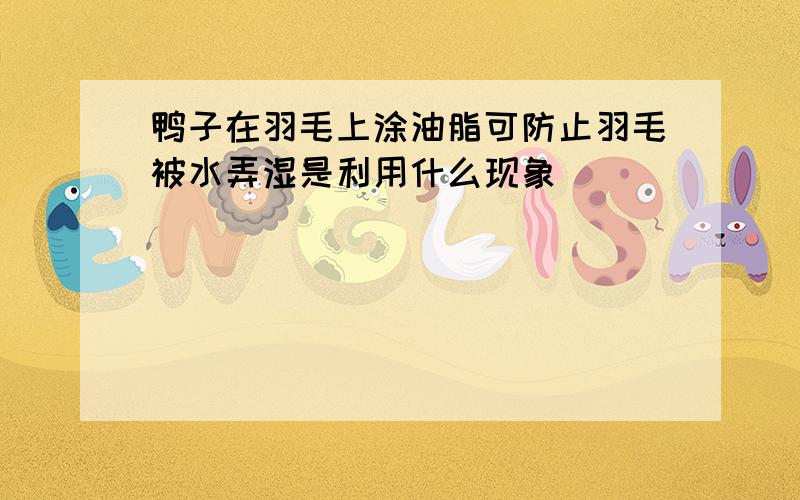 鸭子在羽毛上涂油脂可防止羽毛被水弄湿是利用什么现象