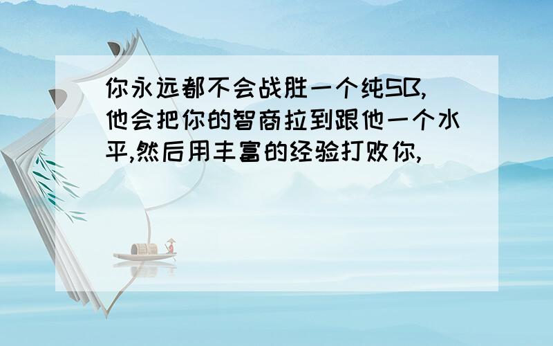 你永远都不会战胜一个纯SB,他会把你的智商拉到跟他一个水平,然后用丰富的经验打败你,