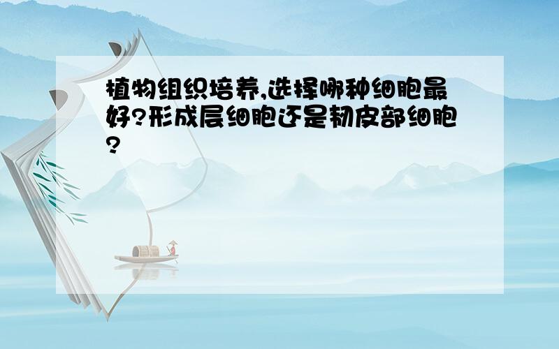 植物组织培养,选择哪种细胞最好?形成层细胞还是韧皮部细胞?