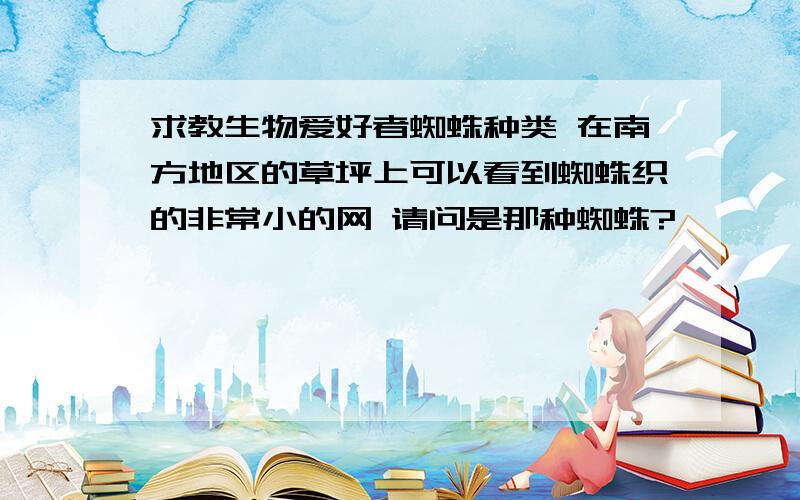 求教生物爱好者蜘蛛种类 在南方地区的草坪上可以看到蜘蛛织的非常小的网 请问是那种蜘蛛?