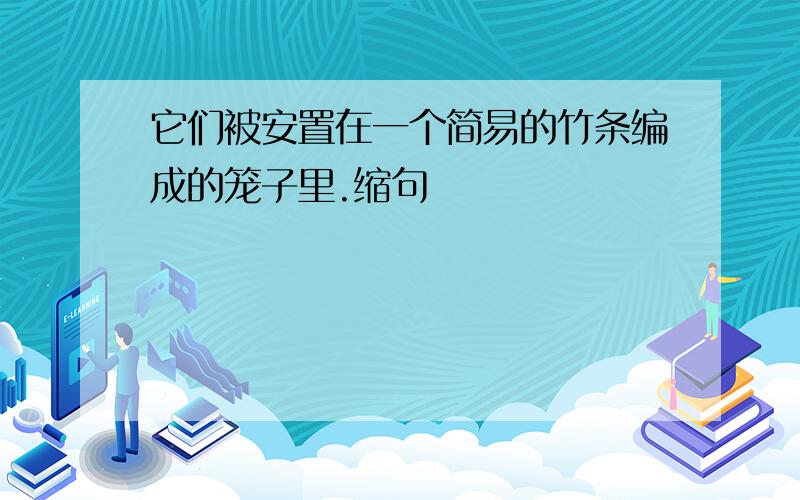 它们被安置在一个简易的竹条编成的笼子里.缩句