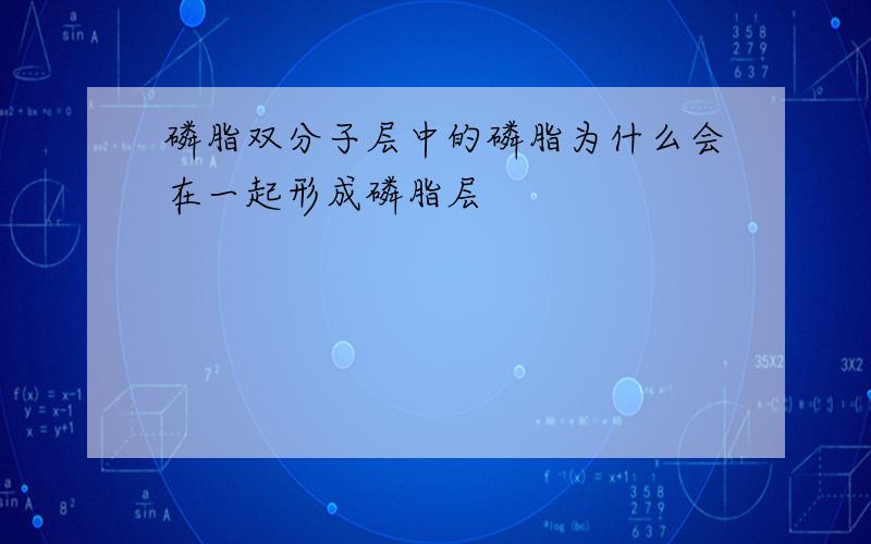 磷脂双分子层中的磷脂为什么会在一起形成磷脂层