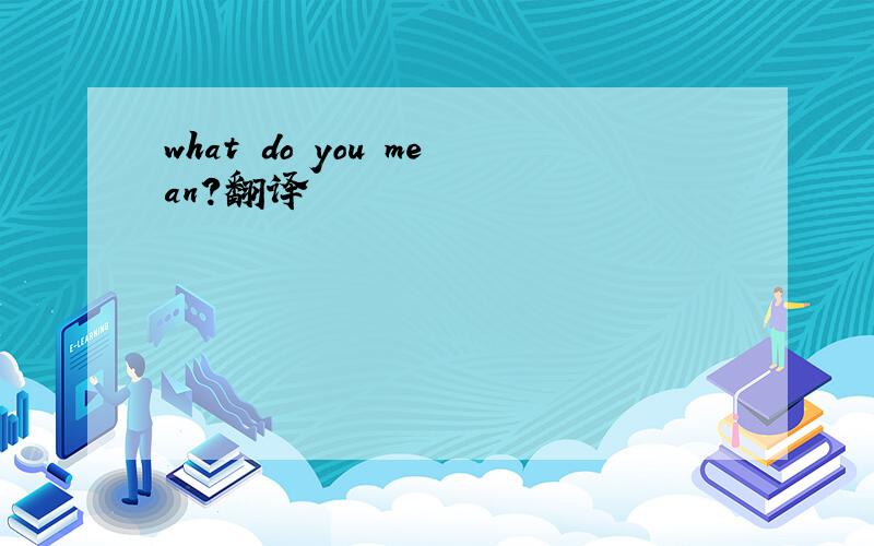 what do you mean?翻译