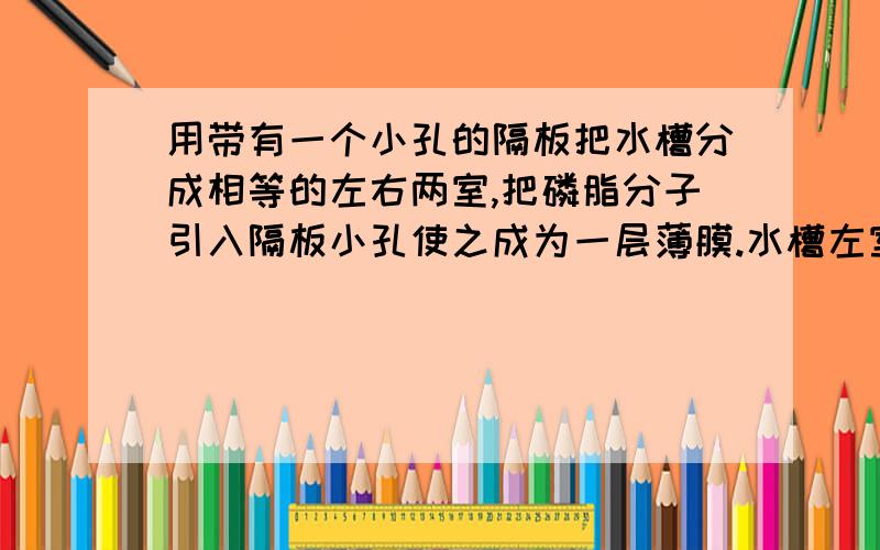 用带有一个小孔的隔板把水槽分成相等的左右两室,把磷脂分子引入隔板小孔使之成为一层薄膜.水槽左室加入50ml含少量K+的溶