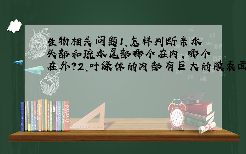 生物相关问题1、怎样判断亲水头部和疏水尾部哪个在内,哪个在外?2、叶绿体的内部有巨大的膜表面吗?3、癌变后,细胞的形态结