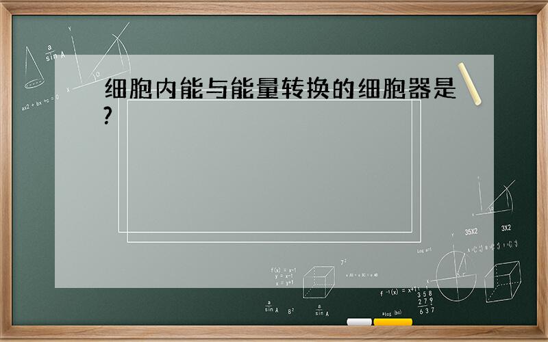 细胞内能与能量转换的细胞器是?