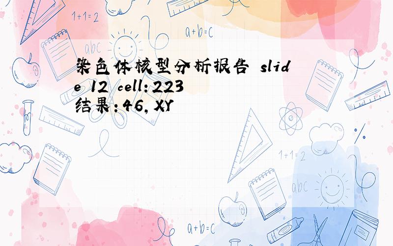 染色体核型分析报告 slide 12 cell：223 结果：46,XY