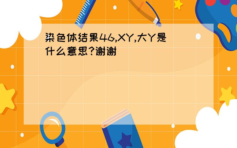 染色体结果46,XY,大Y是什么意思?谢谢