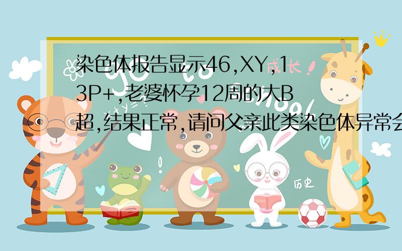 染色体报告显示46,XY,13P+,老婆怀孕12周的大B超,结果正常,请问父亲此类染色体异常会对胎儿有何影响?