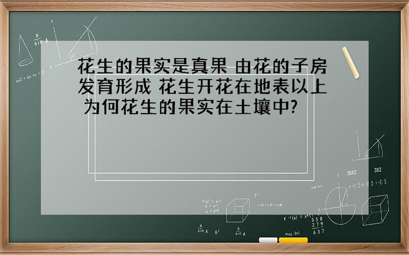 花生的果实是真果 由花的子房发育形成 花生开花在地表以上 为何花生的果实在土壤中?