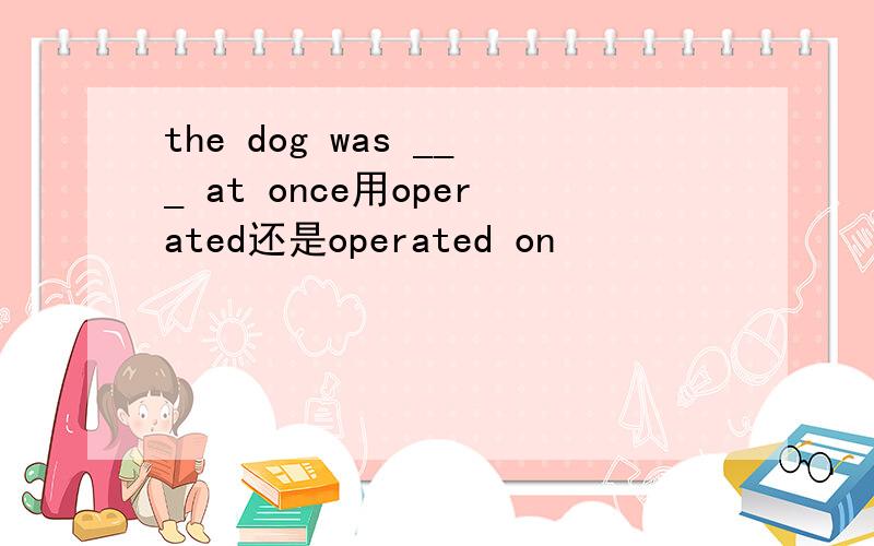 the dog was ___ at once用operated还是operated on