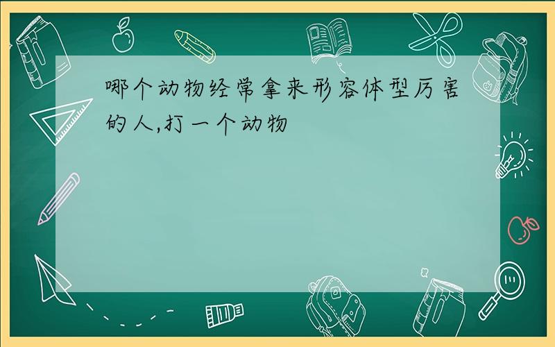 哪个动物经常拿来形容体型厉害的人,打一个动物