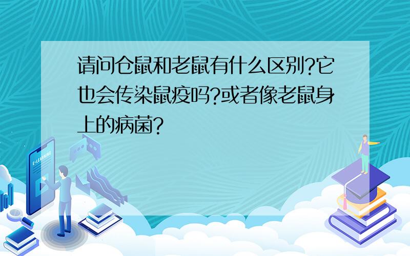 请问仓鼠和老鼠有什么区别?它也会传染鼠疫吗?或者像老鼠身上的病菌?