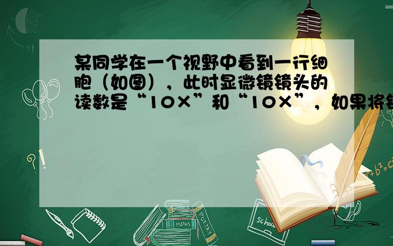 某同学在一个视野中看到一行细胞（如图），此时显微镜镜头的读数是“10×”和“10×”，如果将镜头换成“10×”和“40×