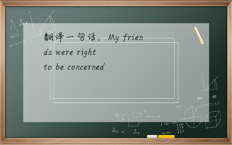 翻译一句话：My friends were right to be concerned