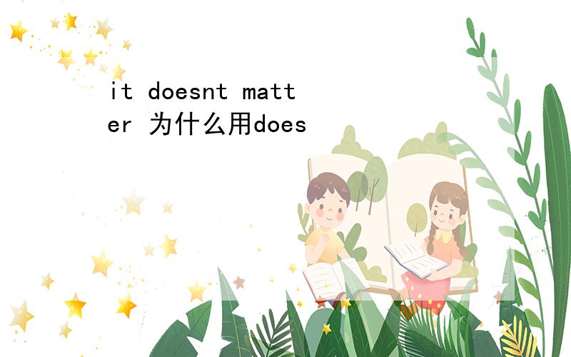 it doesnt matter 为什么用does