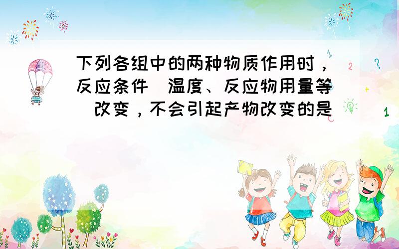 下列各组中的两种物质作用时，反应条件（温度、反应物用量等）改变，不会引起产物改变的是（　　）