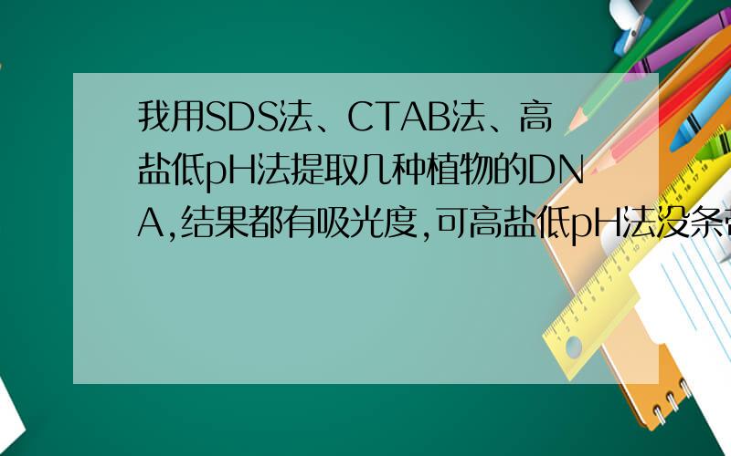 我用SDS法、CTAB法、高盐低pH法提取几种植物的DNA,结果都有吸光度,可高盐低pH法没条带,为什么?