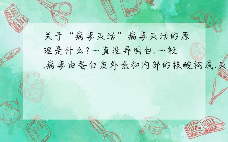 关于“病毒灭活”病毒灭活的原理是什么?一直没弄明白.一般,病毒由蛋白质外壳和内部的核酸构成.灭活,是改变外壳蛋白的空间结