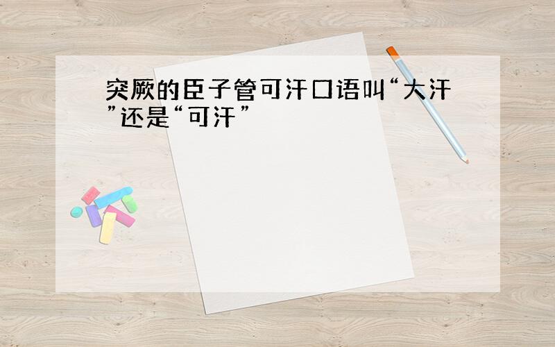 突厥的臣子管可汗口语叫“大汗”还是“可汗”