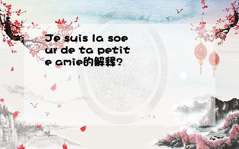 Je suis la soeur de ta petite amie的解释?