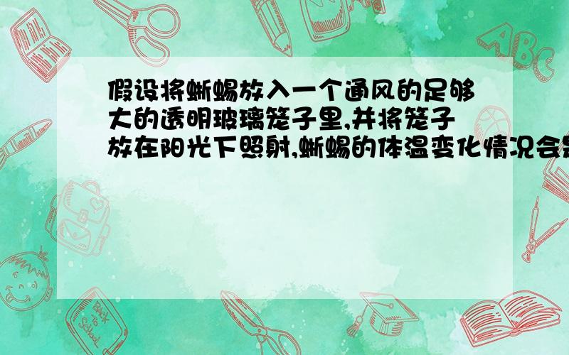 假设将蜥蜴放入一个通风的足够大的透明玻璃笼子里,并将笼子放在阳光下照射,蜥蜴的体温变化情况会是怎样?