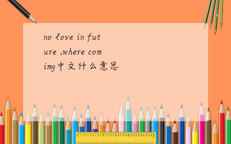 no love in future ,where comimg中文什么意思