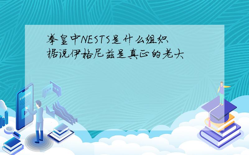 拳皇中NESTS是什么组织 据说伊格尼兹是真正的老大