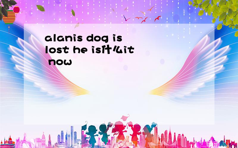 alanis dog is lost he is什么it now