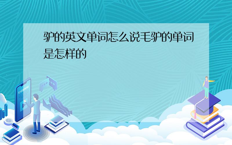 驴的英文单词怎么说毛驴的单词是怎样的