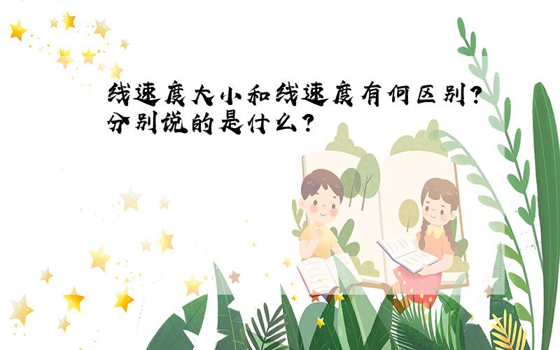 线速度大小和线速度有何区别?分别说的是什么?